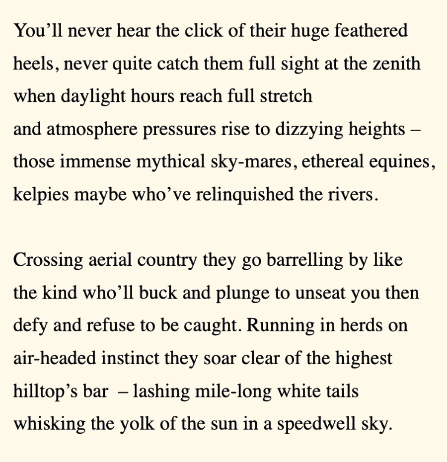 You’ll never hear the click of their huge feathered<br>
heels, never quite catch them full sight at the zenith
when daylight hours reach full stretch
and atmosphere pressures rise to dizzying heights –
those immense mythical sky-mares, ethereal equines,
kelpies maybe who’ve relinquished the rivers.
 
Crossing aerial country they go barrelling by like
the kind who’ll buck and plunge to unseat you then
defy and refuse to be caught. Running in herds on
air-headed instinct they soar clear of the highest
hilltop’s bar  – lashing mile-long white tails
whisking the yolk of the sun in a speedwell sky.