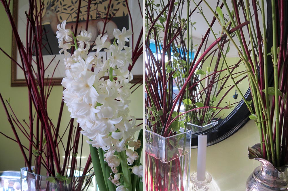 Dogwood cuttings in vases and white hyacinths in front of a mirror and a framed print (by Mark Fairnington) of a golden puku.