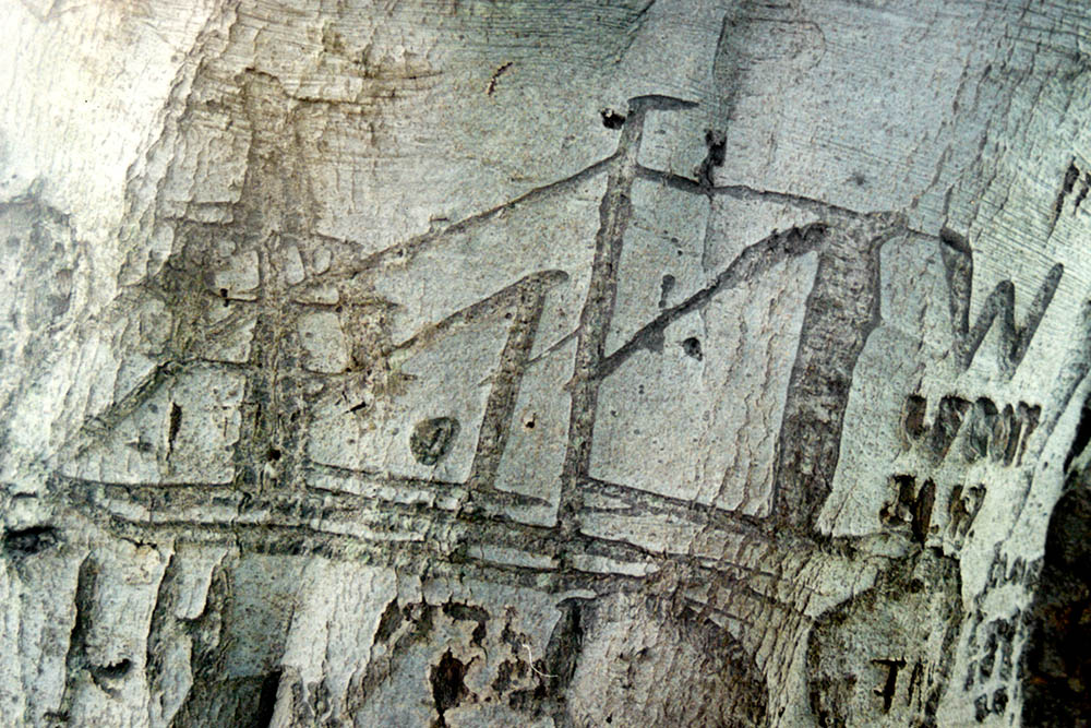 Image of a boat carved into the bark of a beech tree, The Clumps, Butley, Suffolk. Copyright Kim Crowder 2018