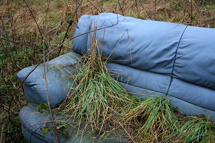 Photograph of discarded couch with grass growing on and through it. Copyright Kim Crowder
