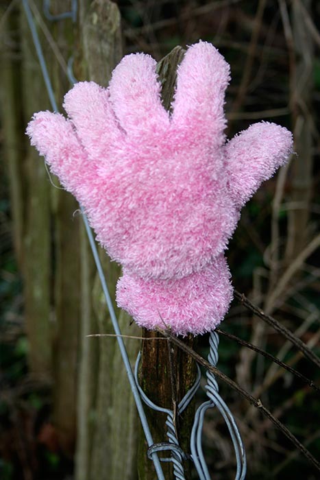 Photograph of one child's pink fleece clove on a stick . Copyright Kim Crowder