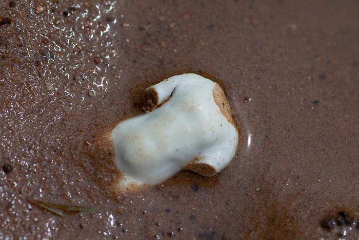 Photograph of a headless small ceramic torso half submerged in wet sand. Copyright Kim Crowder