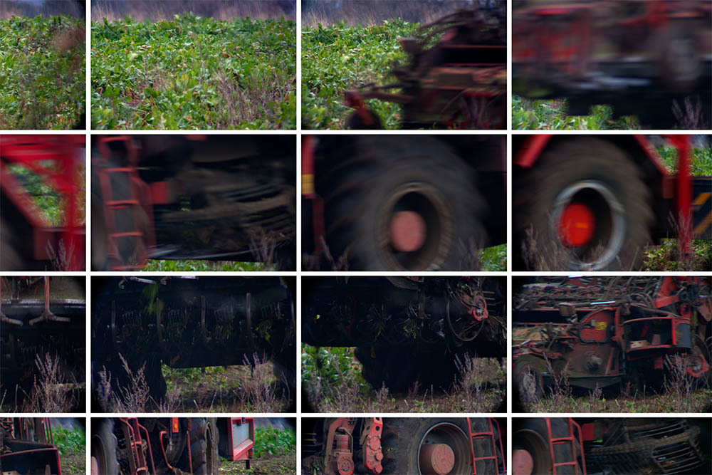 A Window: Butley (The Harvest)